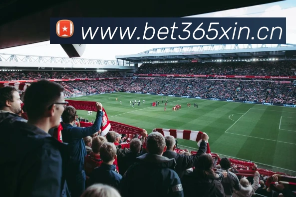 bet365中国官网服务体系